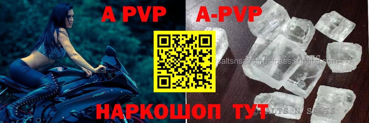 A PVP СК Сыктывкар