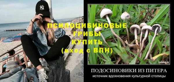 mix Снежногорск