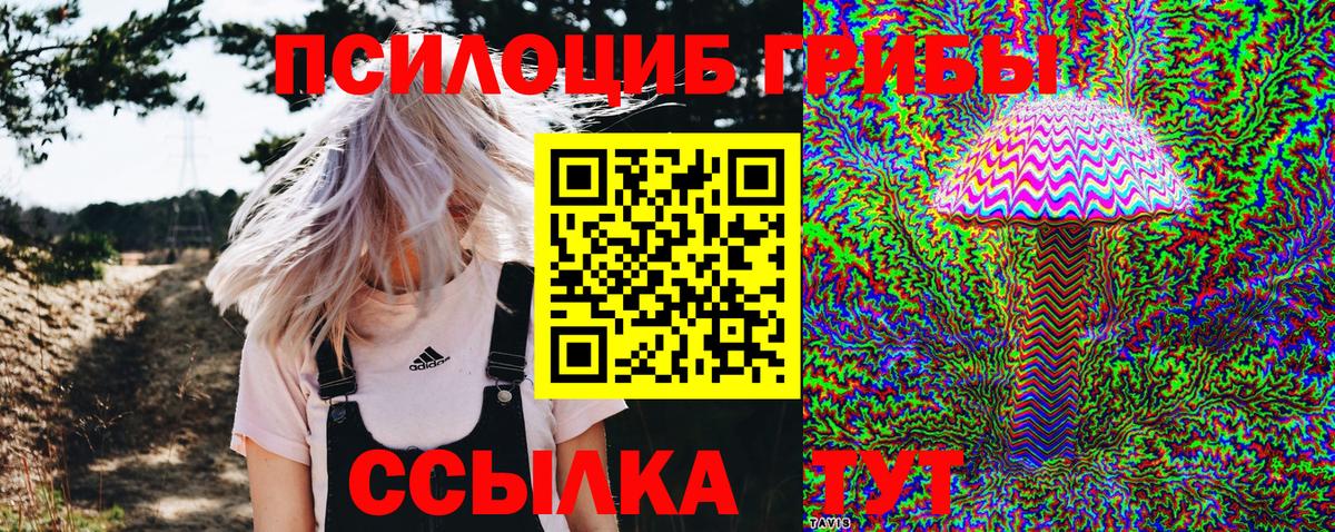 Псилоцибиновые грибы GOLDEN TEACHER Сыктывкар