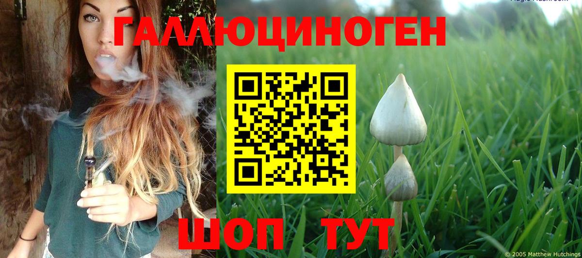 Псилоцибиновые грибы прущие грибы Сыктывкар