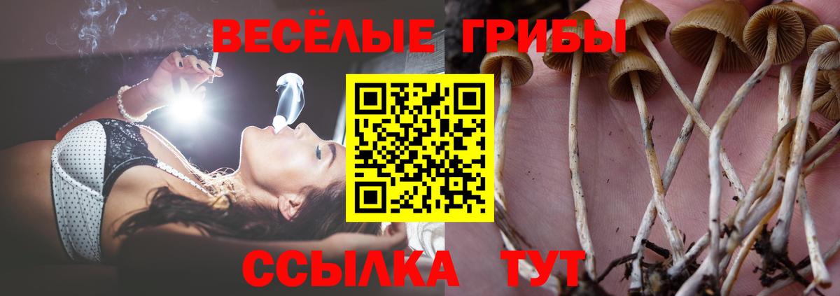 Сыктывкар  Псилоцибиновые грибы GOLDEN TEACHER  Вход с VPN 