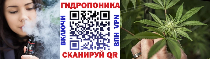 МЕГА ССЫЛКА  купить наркотики сайты  Сыктывкар  Марихуана SATIVA & INDICA 